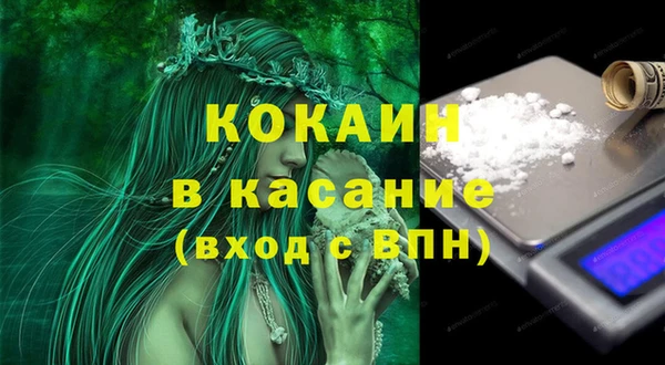 мяу мяу мука Бородино