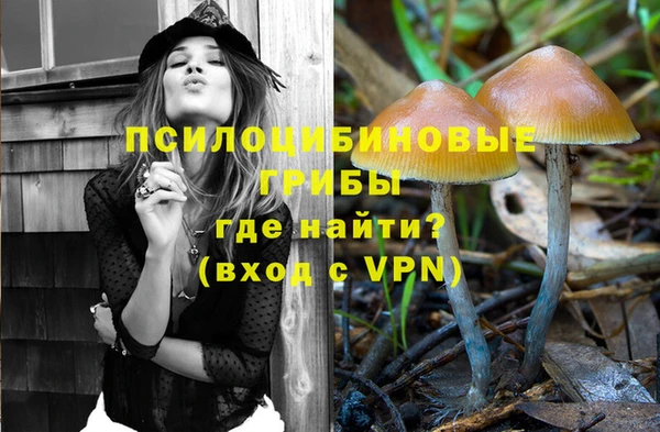 мяу мяу мука Бородино
