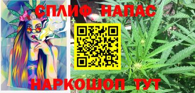 прущие грибы Гагарин
