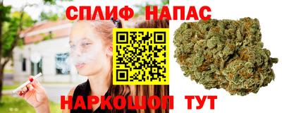 прущие грибы Гагарин