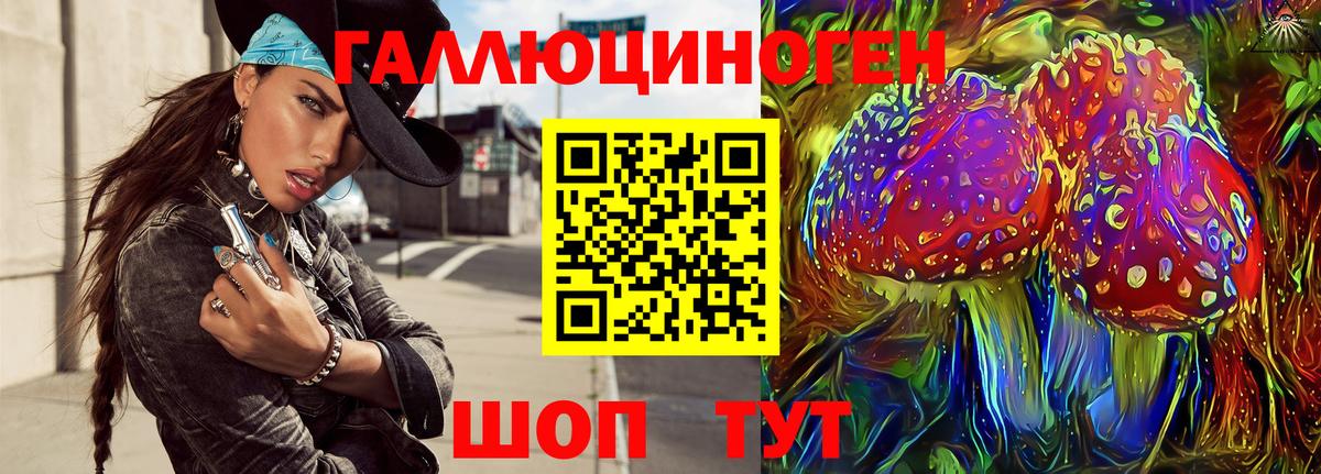 Североуральск  Галлюциногенные грибы Cubensis  Вход с VPN 