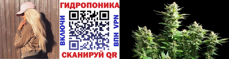 даркнет какой сайт  Североуральск  Канабис AK-47  дарнет шоп 